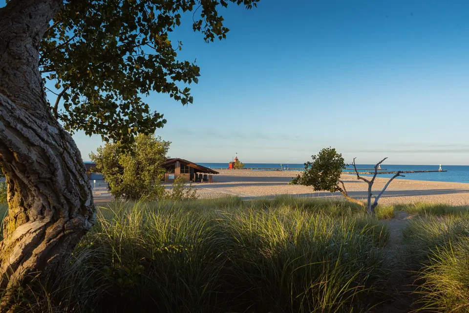 Dune grass and sandy beach on Lake Michigan near Muskegon