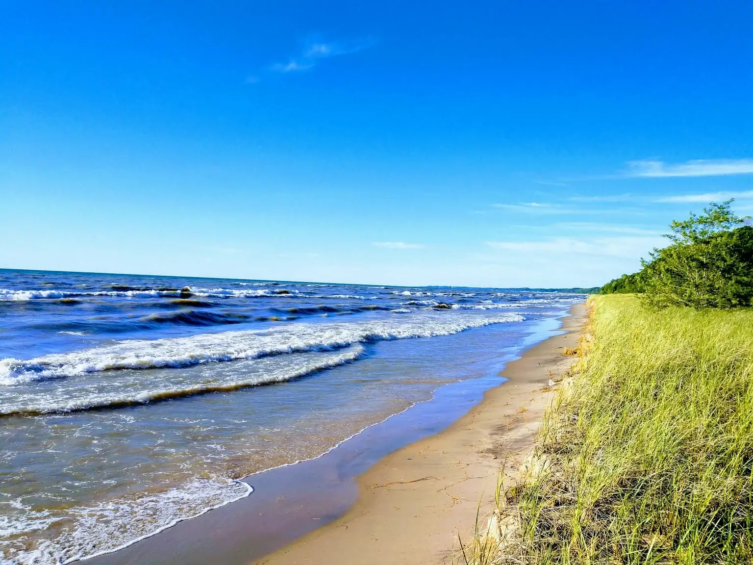 Lake Michigan surf rolling onto a sandy West Michigan beach lined with dune grass